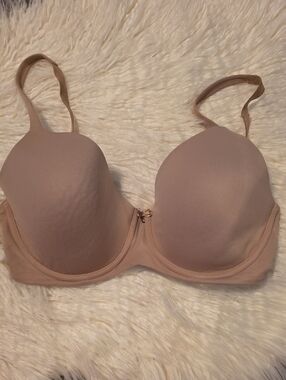 Sonoma Beige Molded T-Shirt Bra